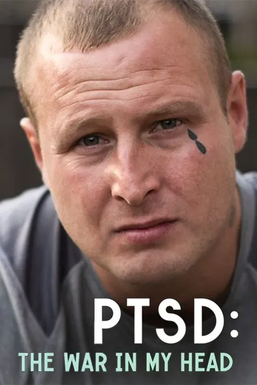Poster of the movie PTSD: The War in My Head