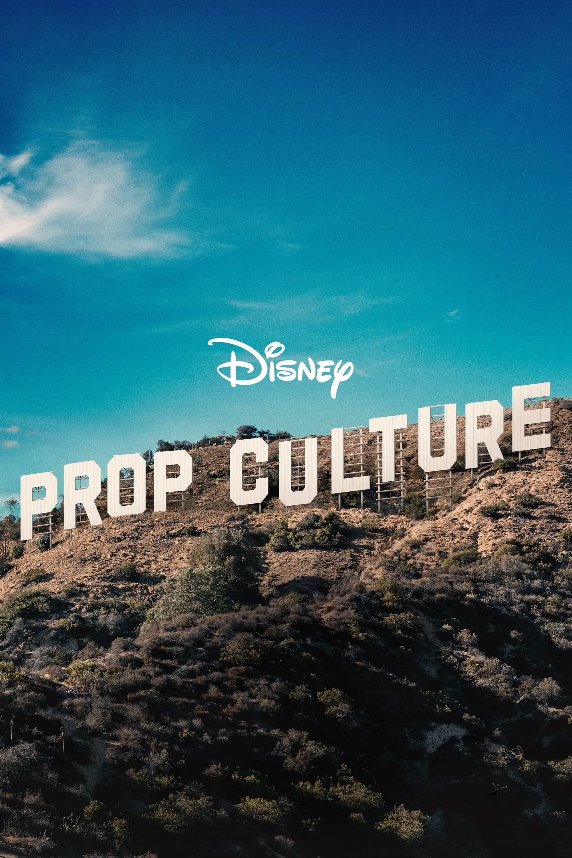 Poster of Prop Culture