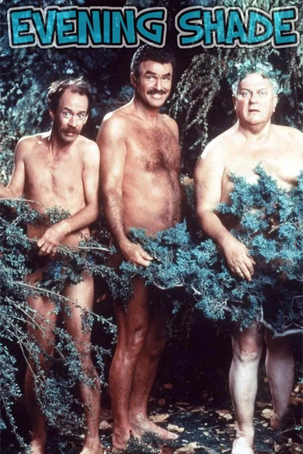 Poster of Evening Shade