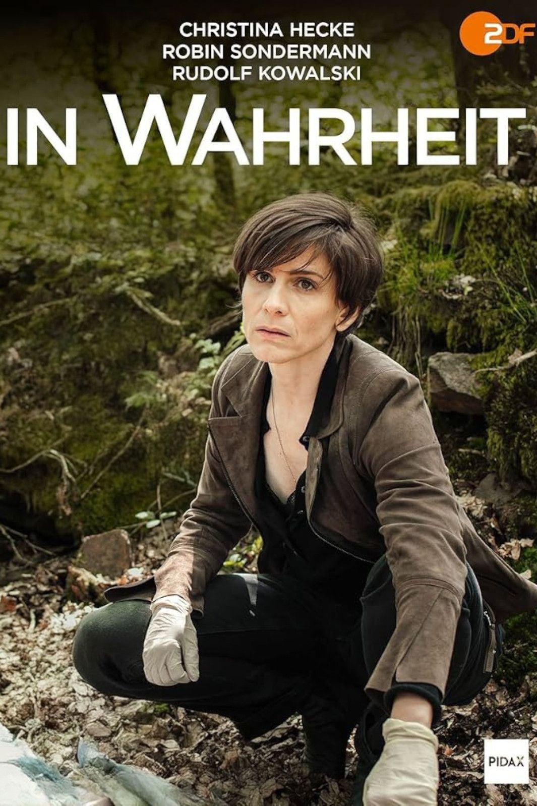 Poster of In Wahrheit
