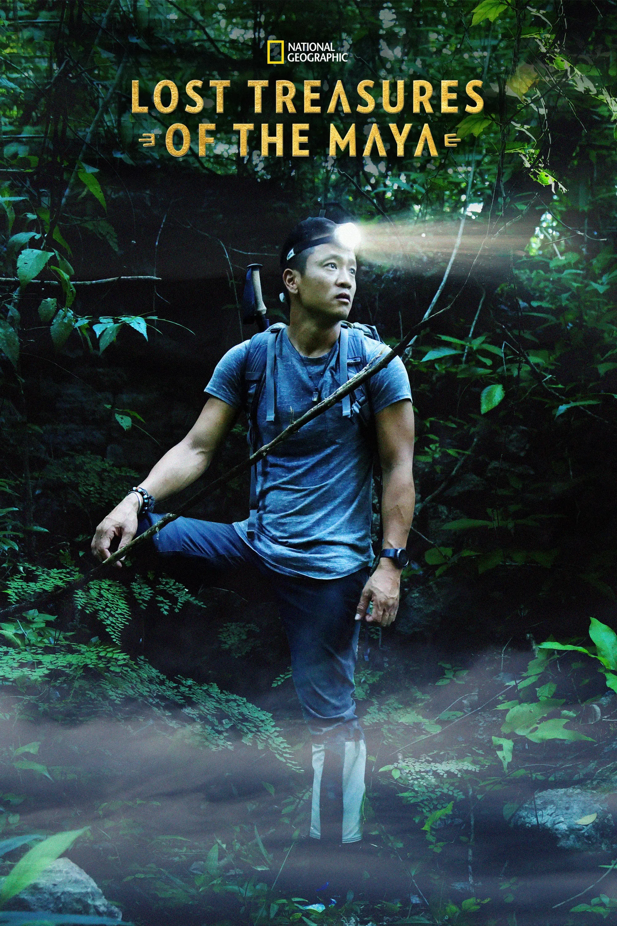 Poster of Lost Treasures of the Maya