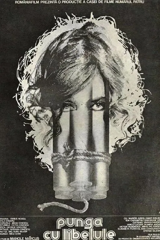 Poster of the movie The Dragonfly Bag