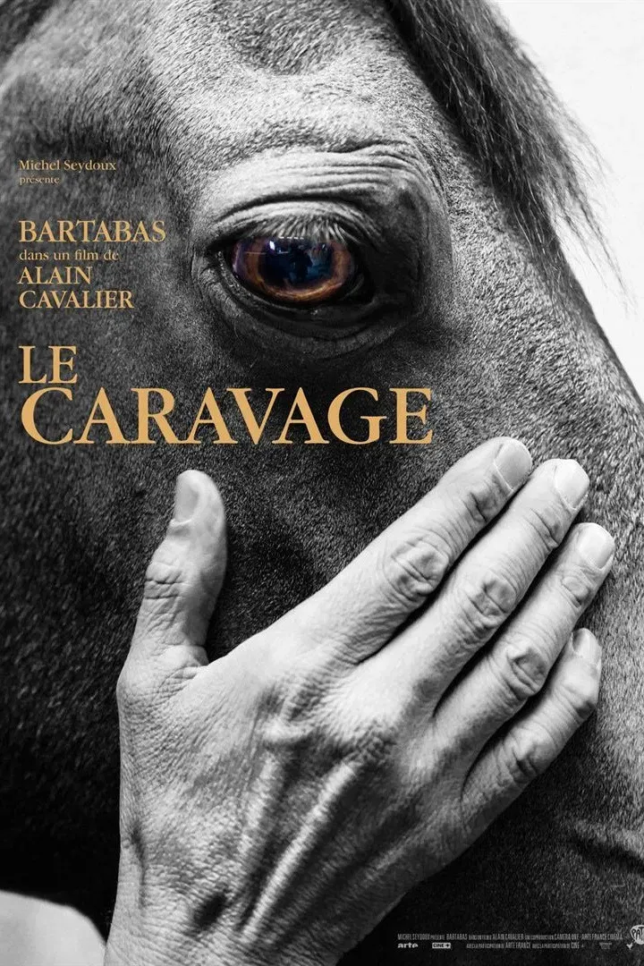 Poster of the movie Le Caravage
