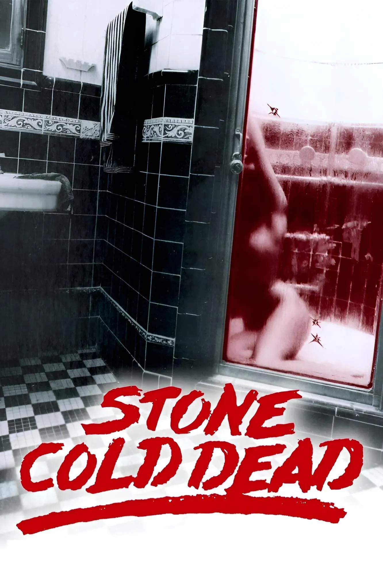 Poster of the movie Stone Cold Dead