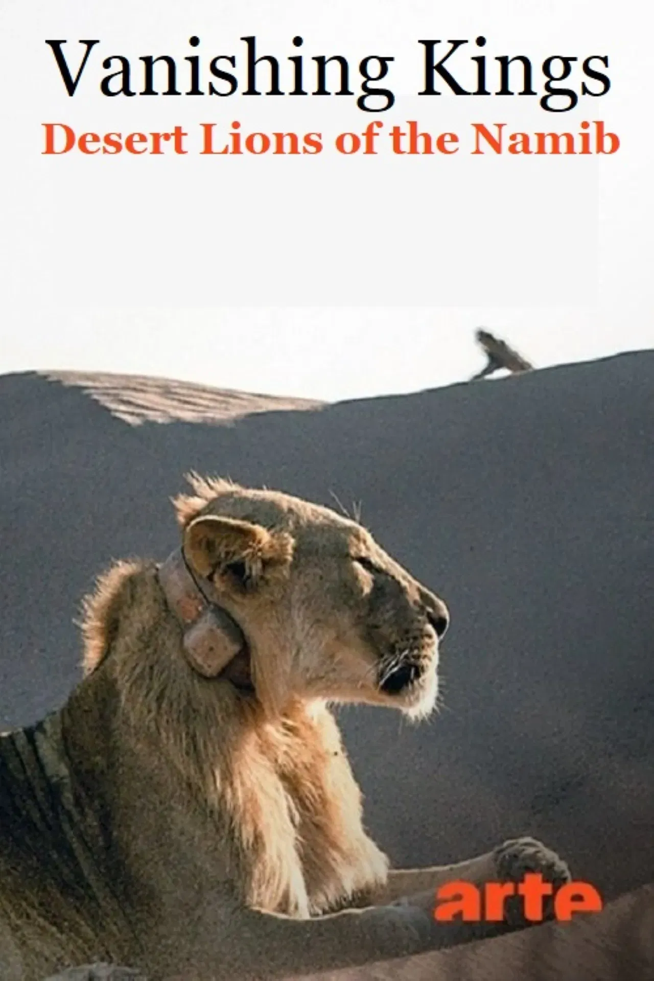 Poster of the movie Vanishing Kings: Desert Lions of the Namib