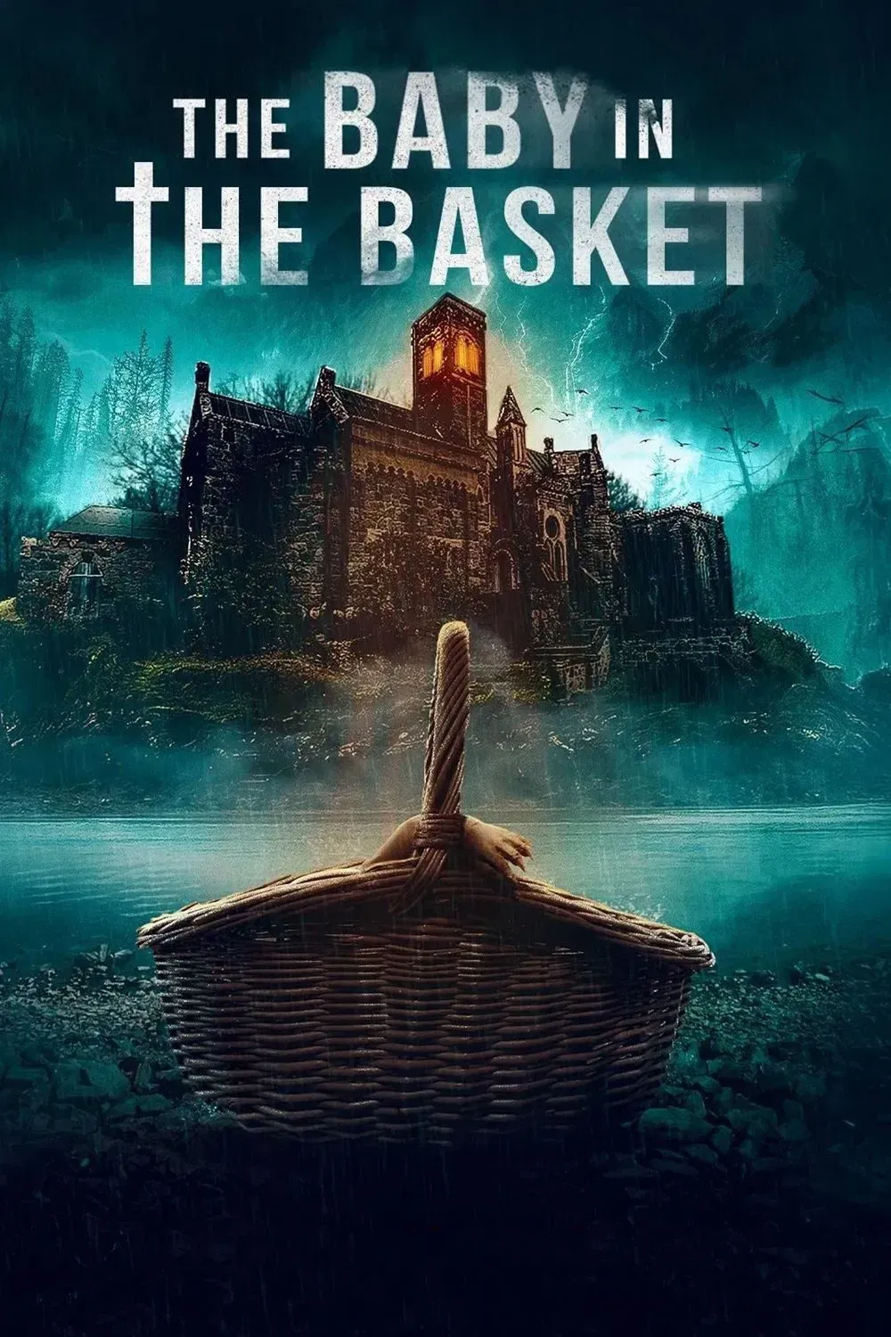 Poster of the movie The Baby in the Basket