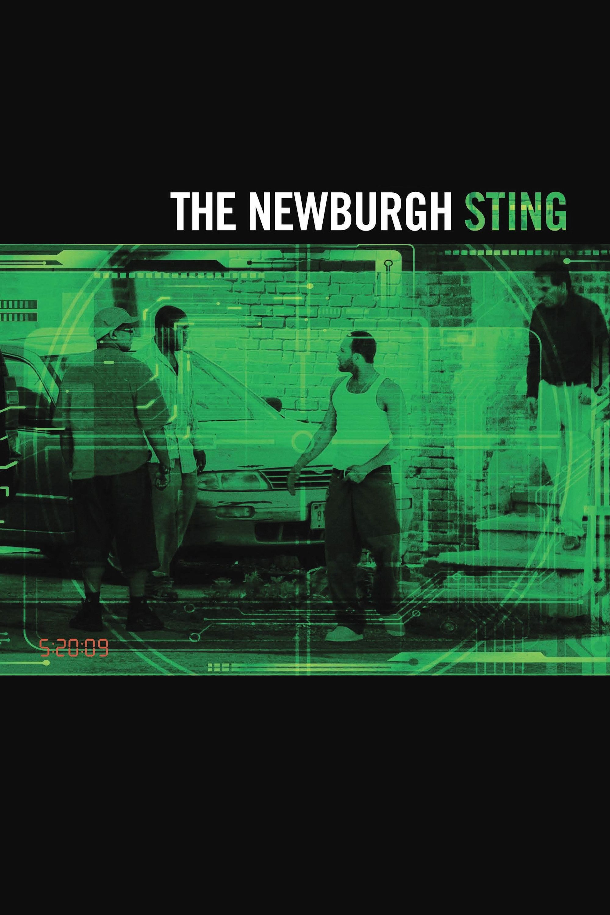 Poster of the movie The Newburgh Sting