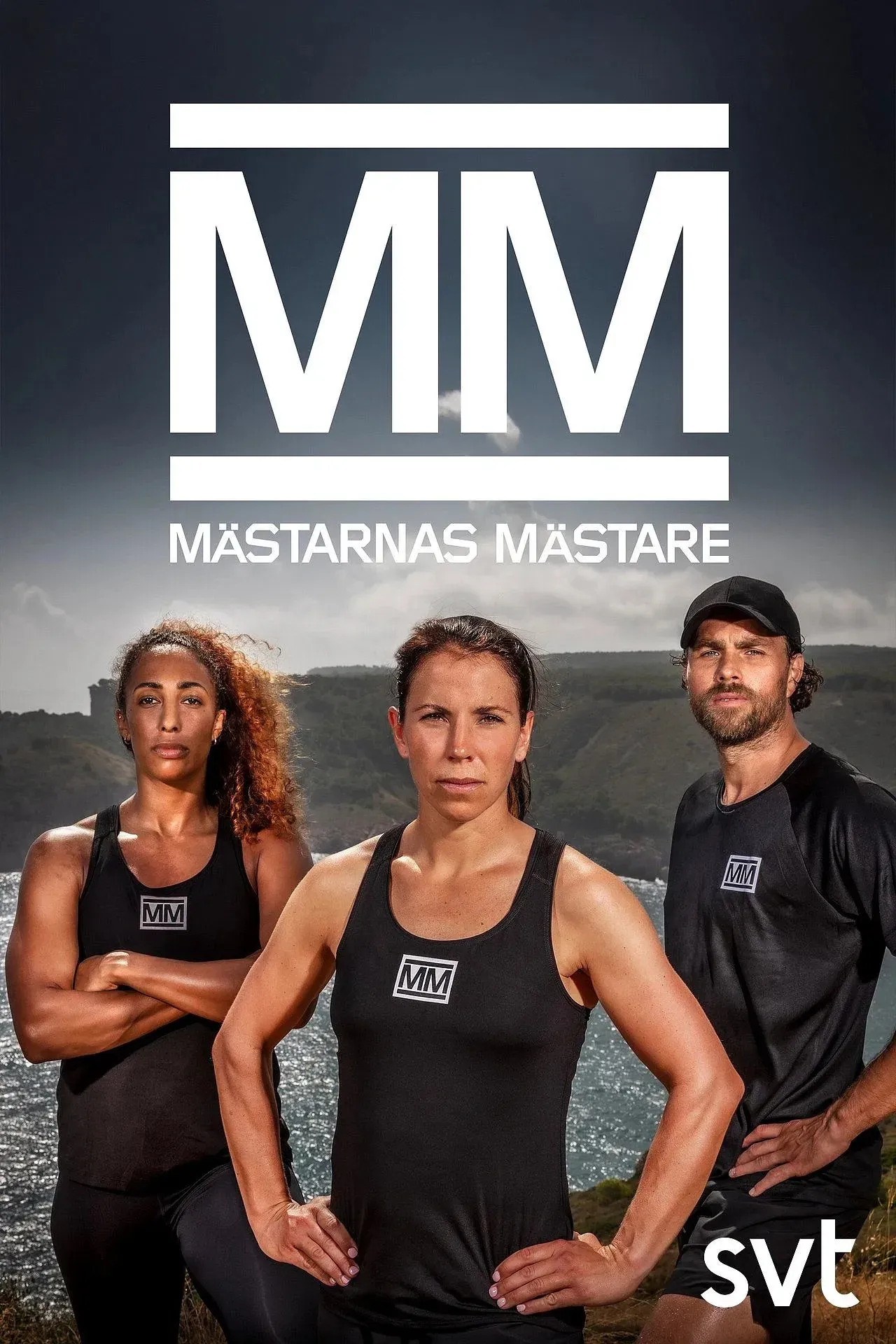Poster of Mästarnas mästare