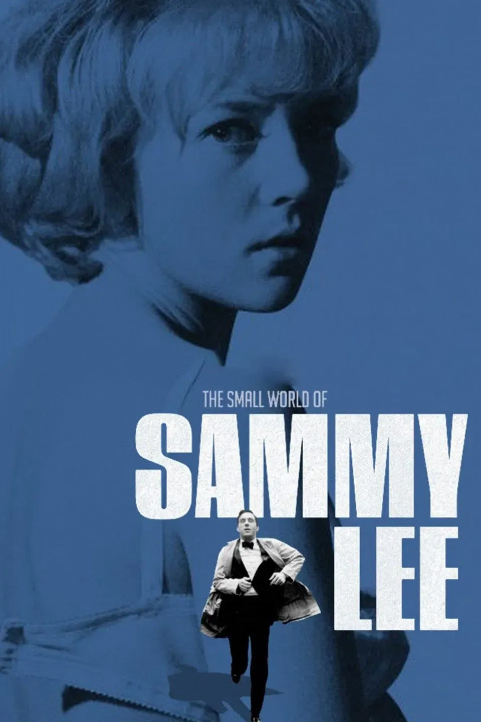Poster of the movie The Small World of Sammy Lee