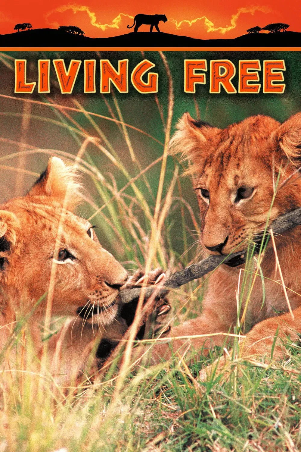 Poster of the movie Living Free