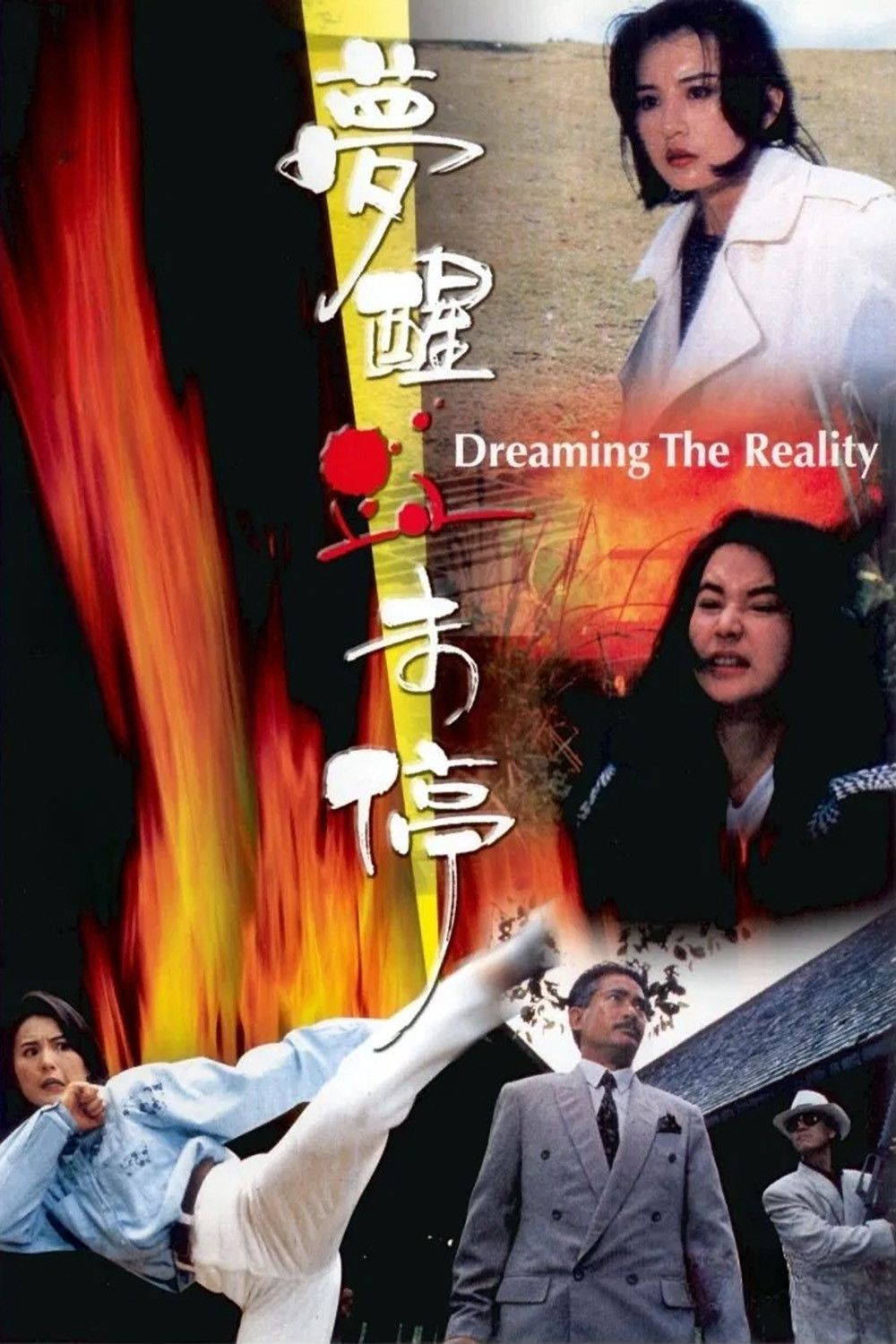 Poster of the movie Dreaming the Reality