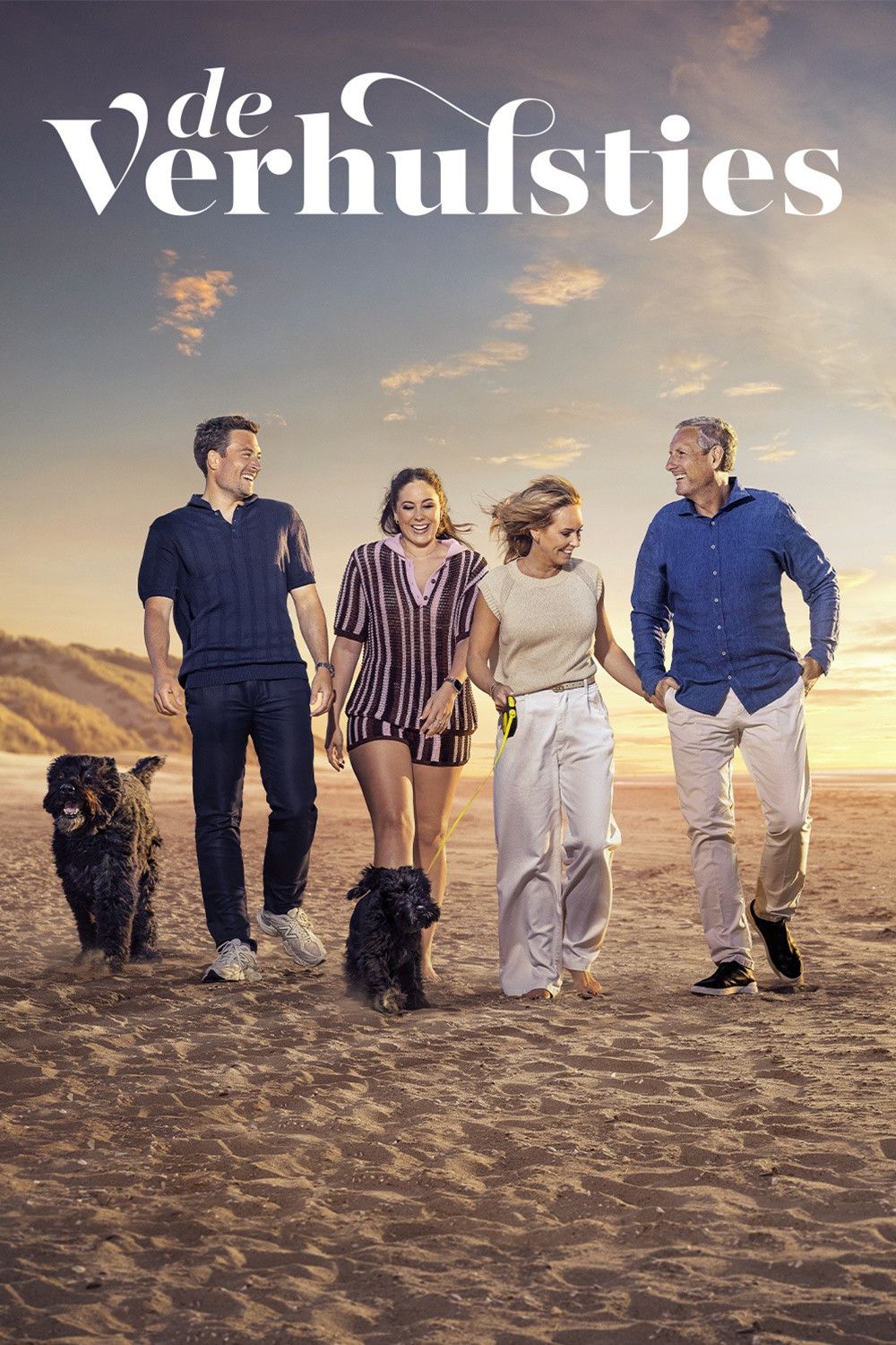 Poster of De Verhulstjes