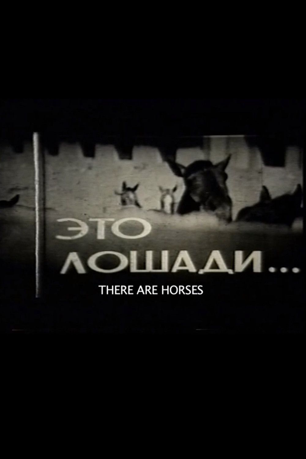 Poster of the movie There Are Horses