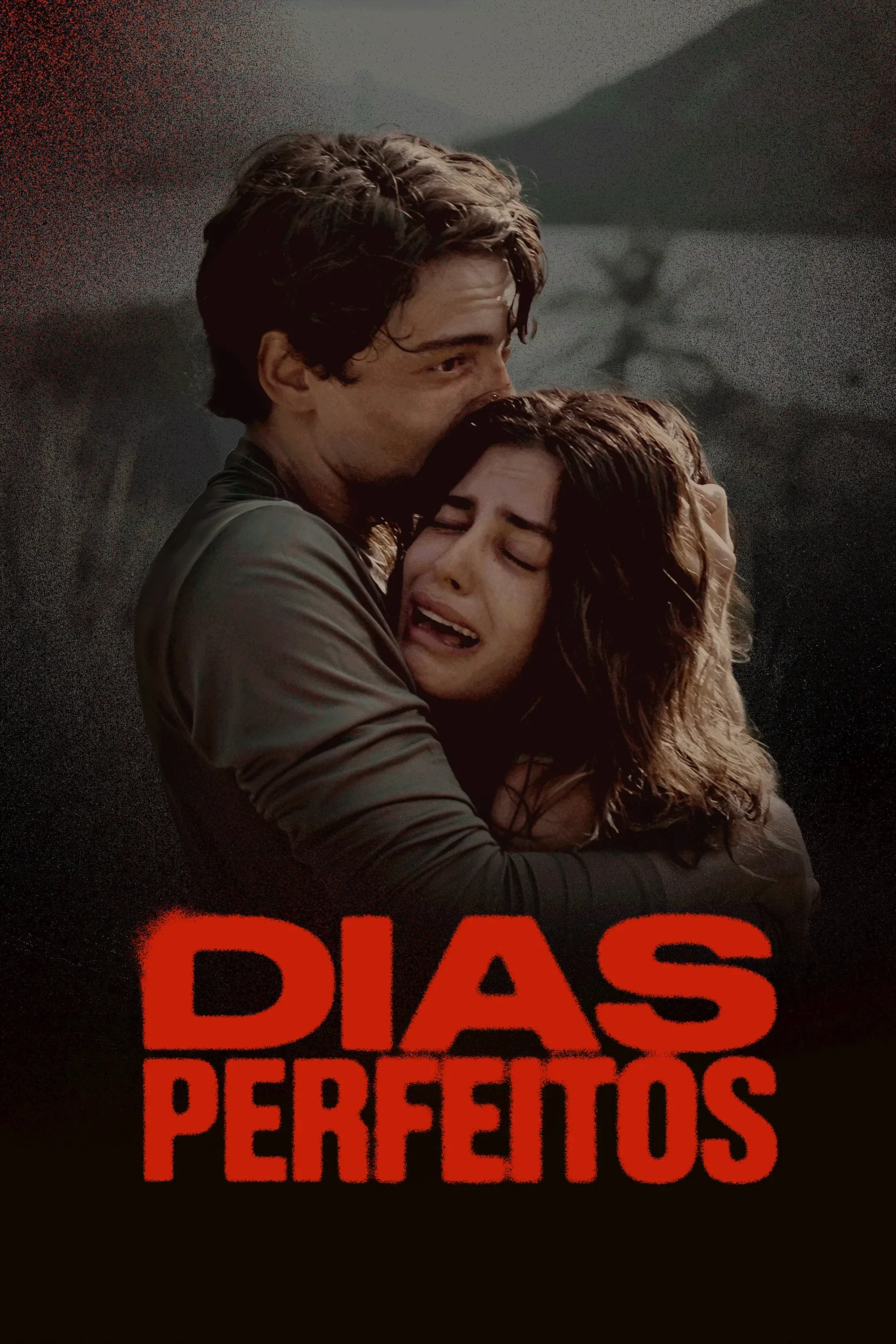 Poster of Perfect Days