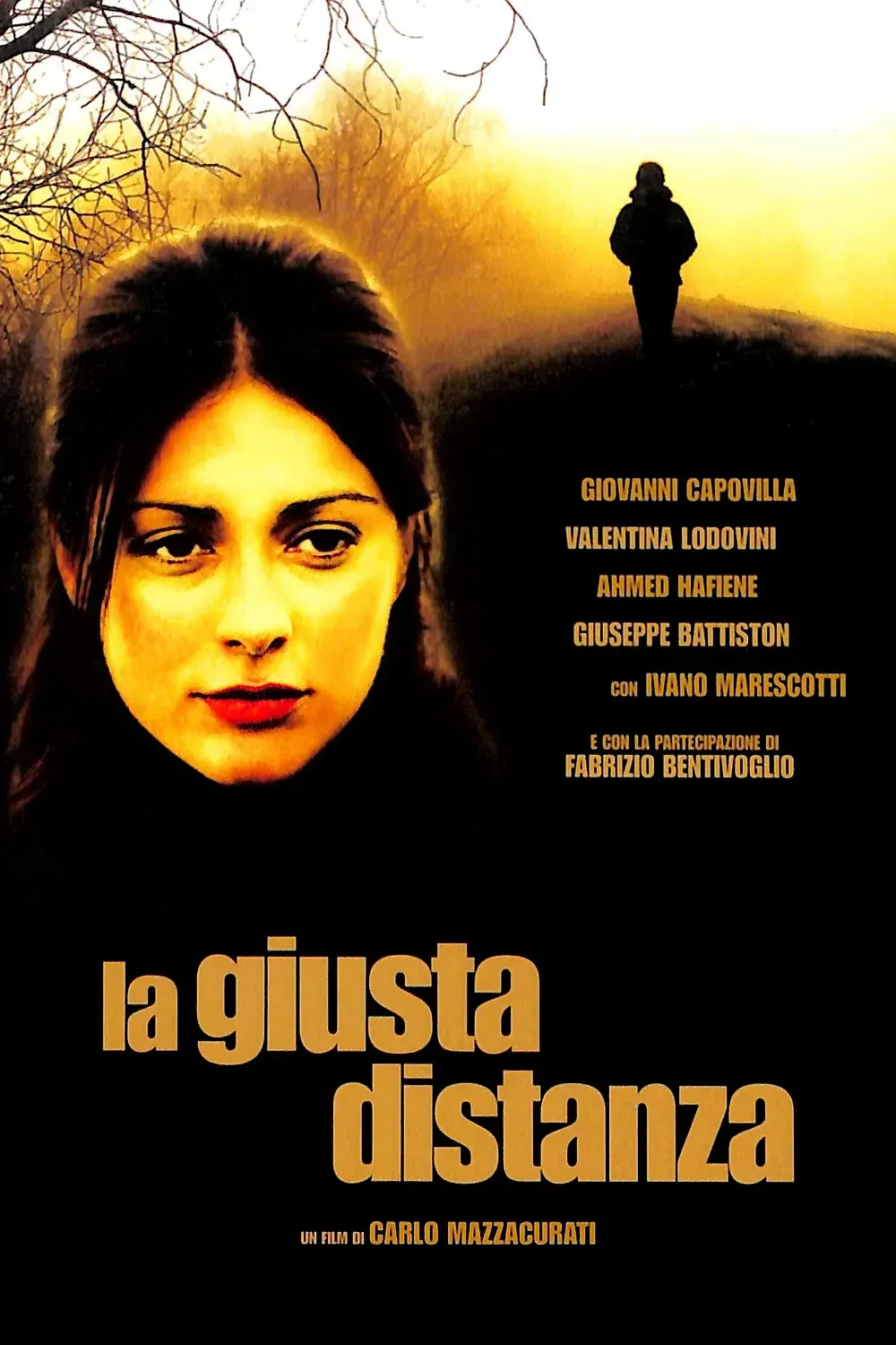 Poster of the movie The Right Distance