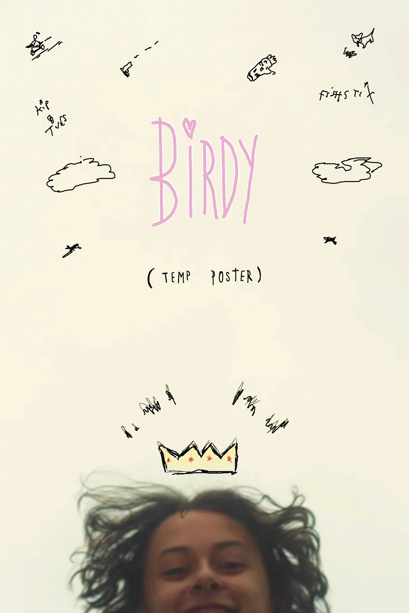 Poster for BiRDY