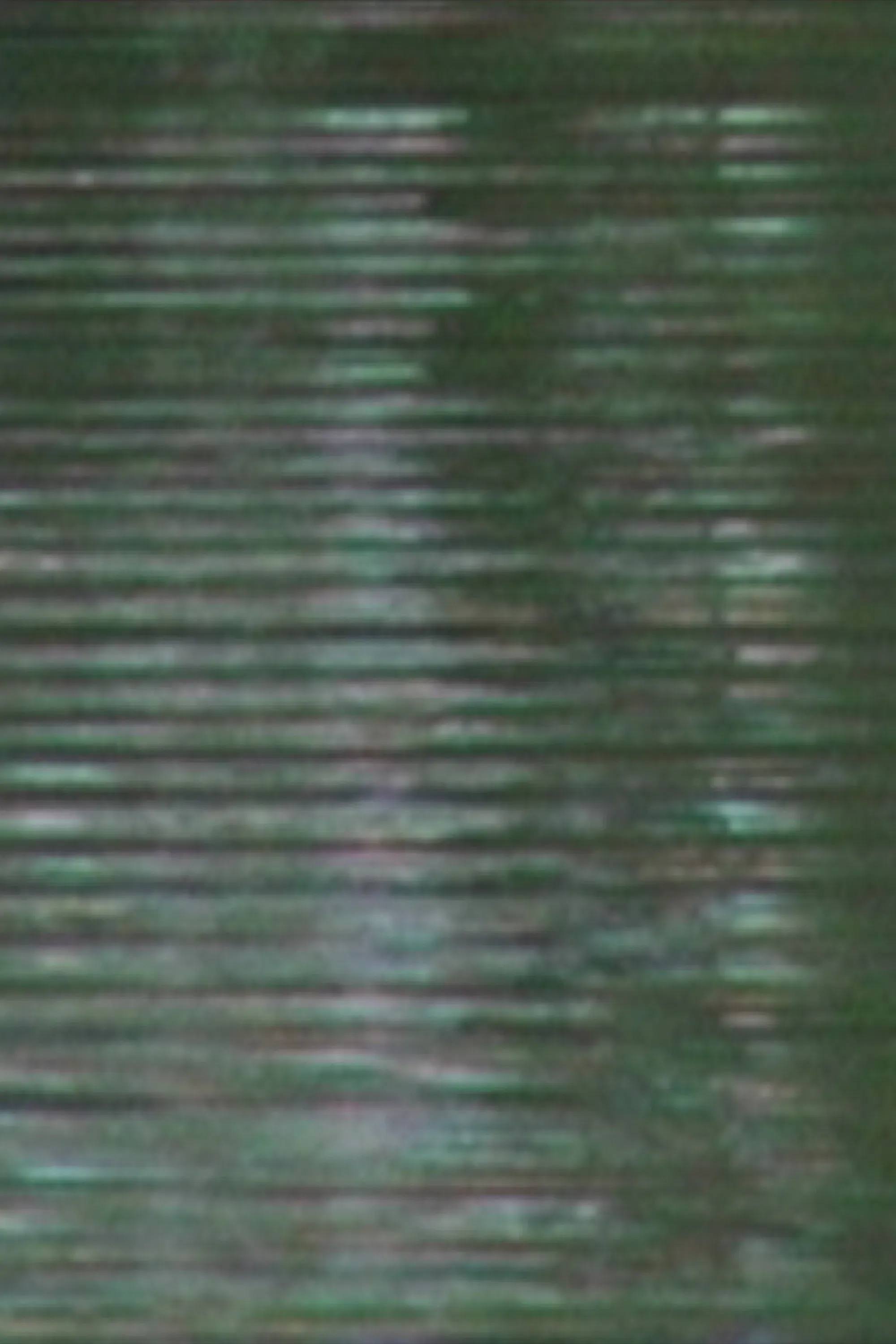 Poster of the movie G