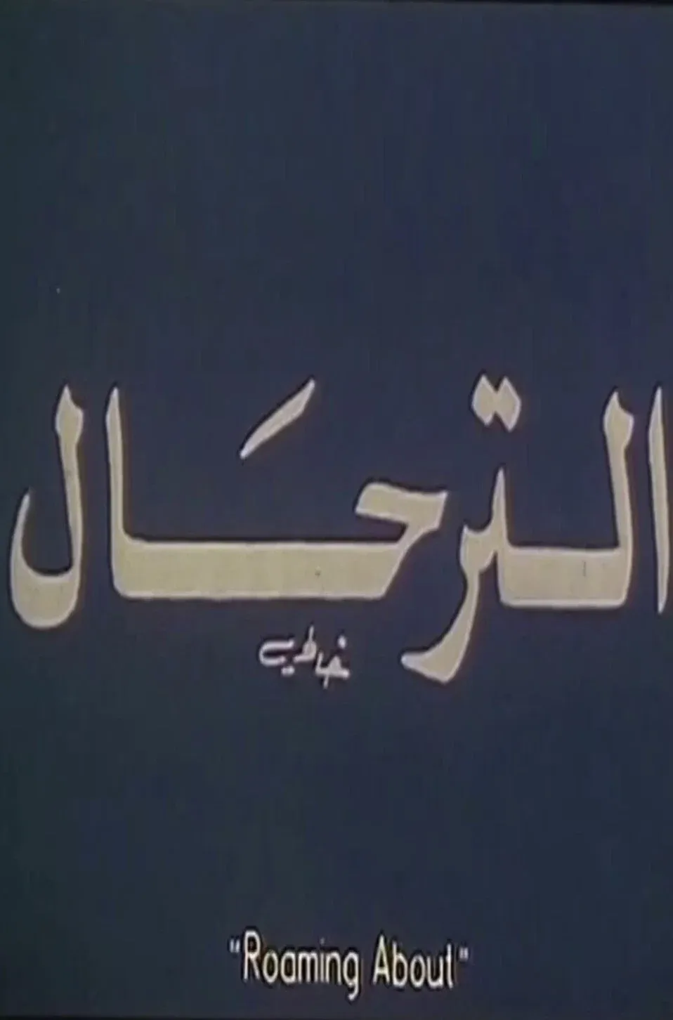 Poster for Roaming About