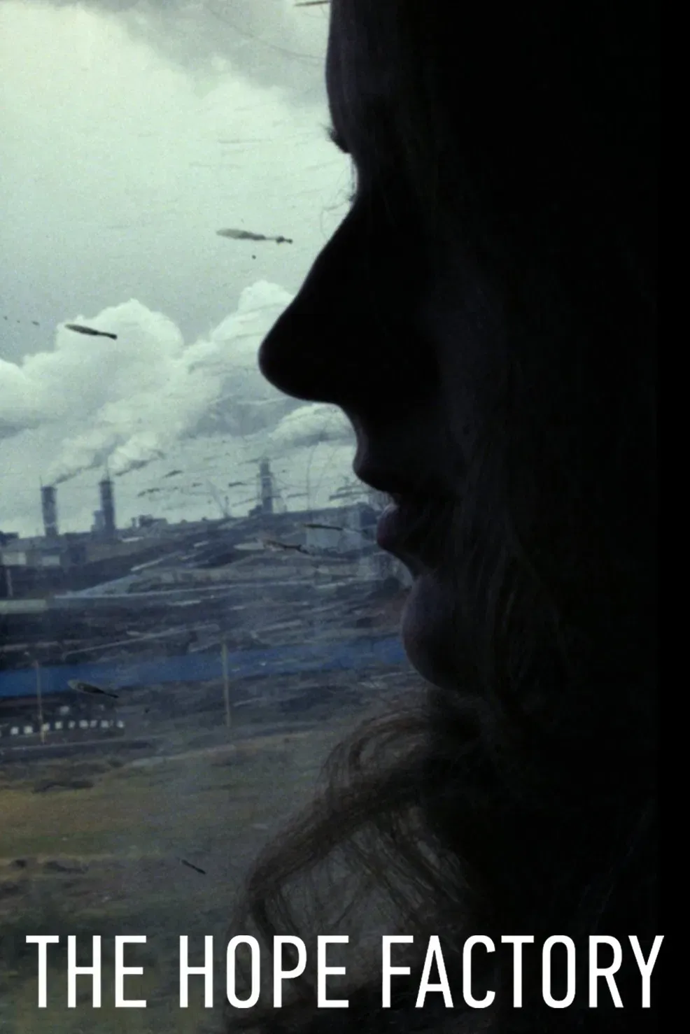 Poster of the movie The Hope Factory