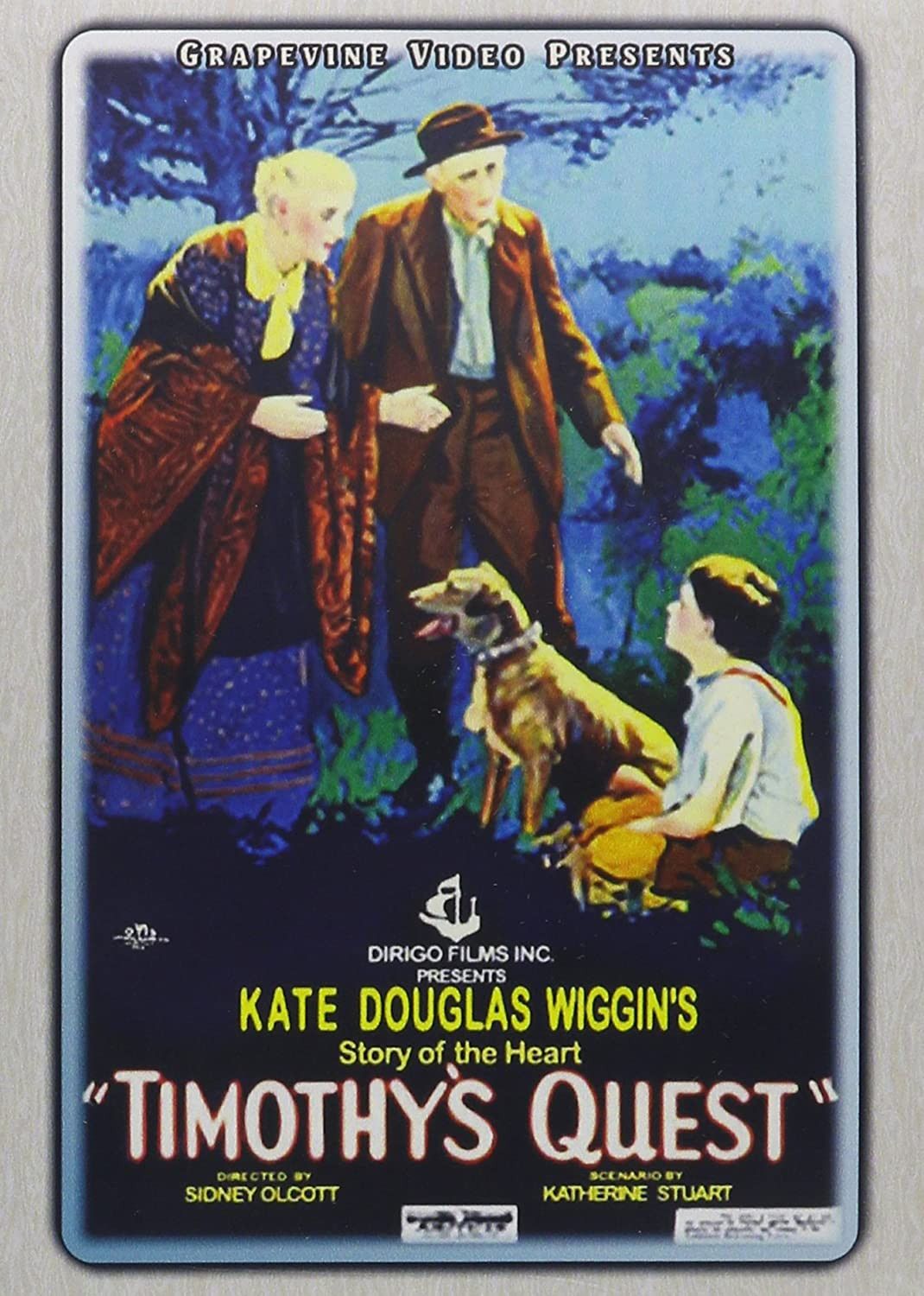 Poster of the movie Timothy's Quest