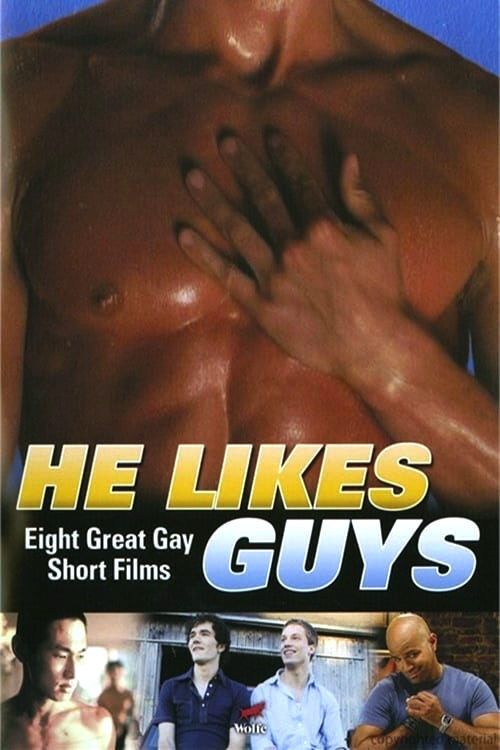 Poster of the movie He Likes Guys
