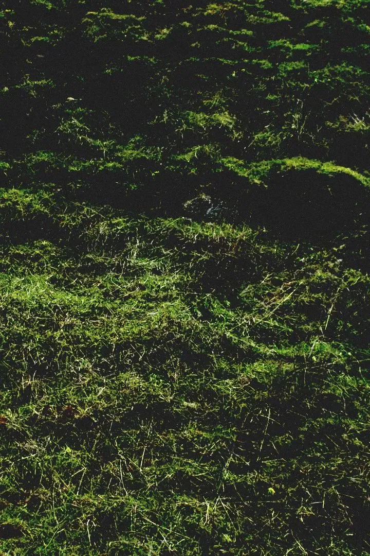 Poster of the movie Untitled / Aubrac