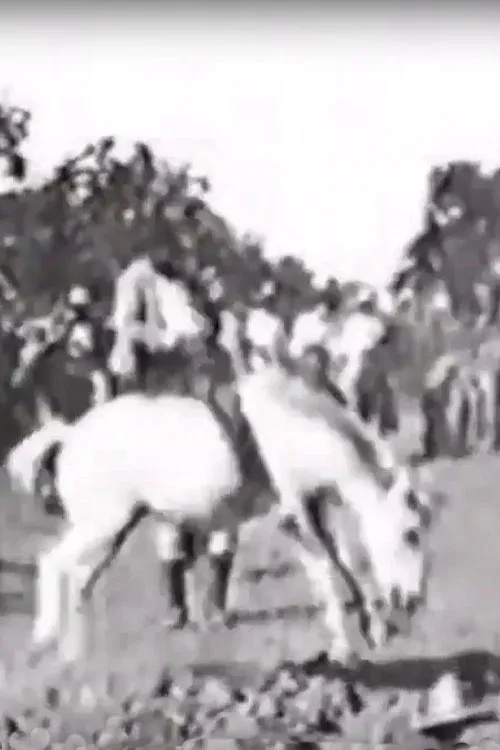 Poster for Cavalier sur un cheval rétif