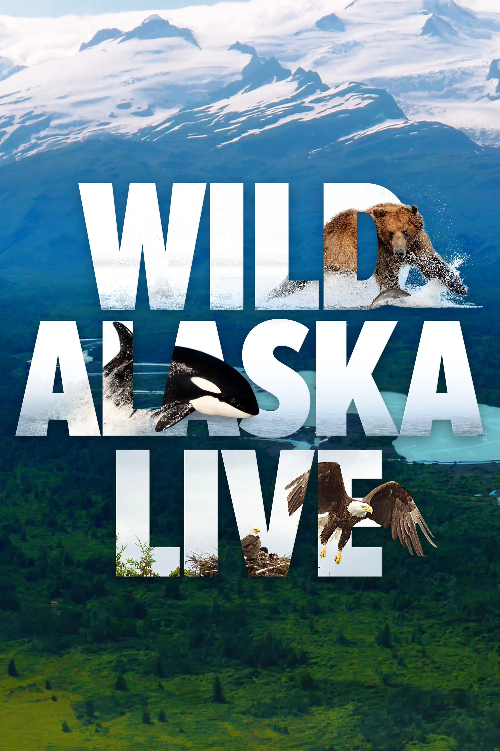 Poster of Wild Alaska Live