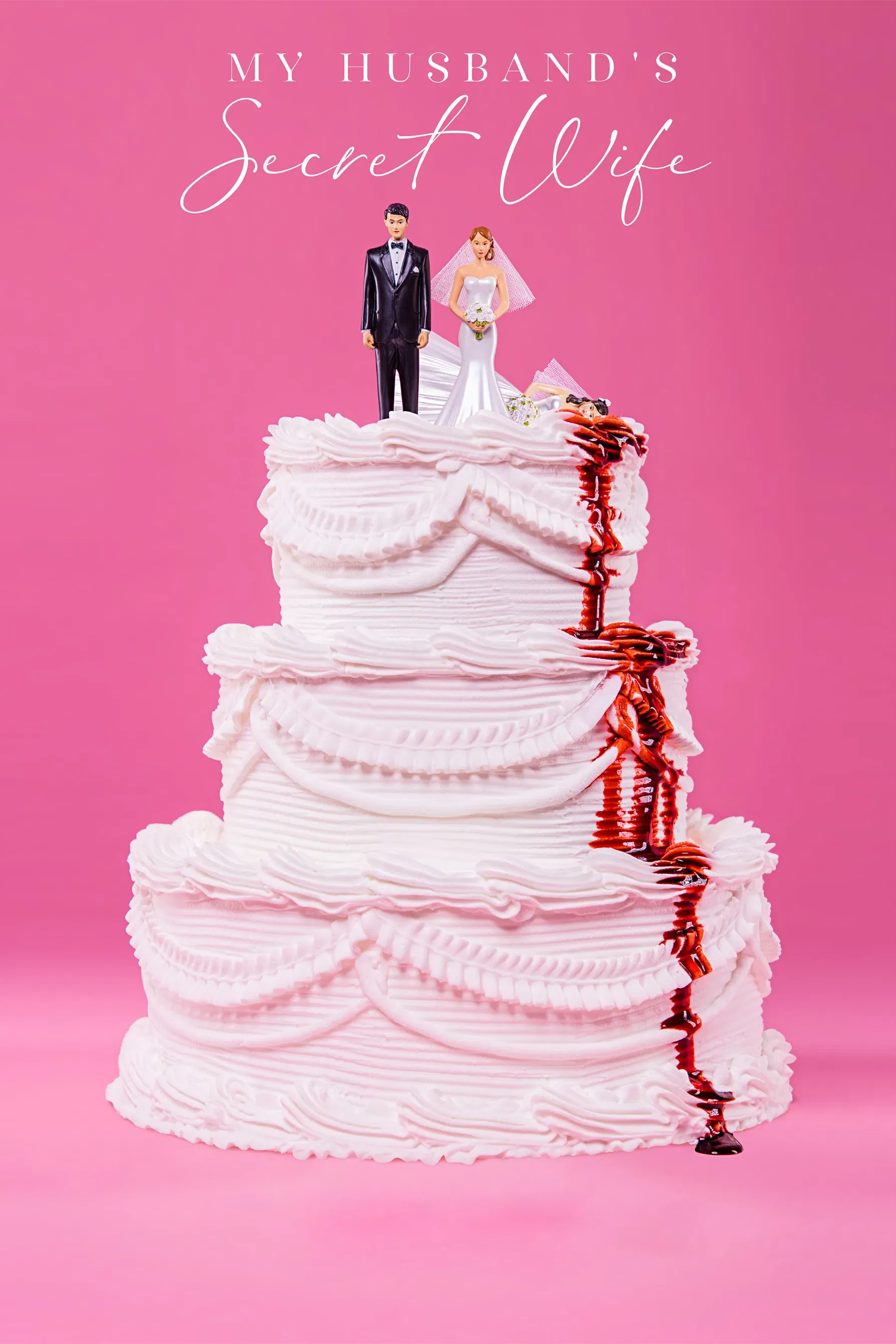 Poster of the movie My Husband's Secret Wife