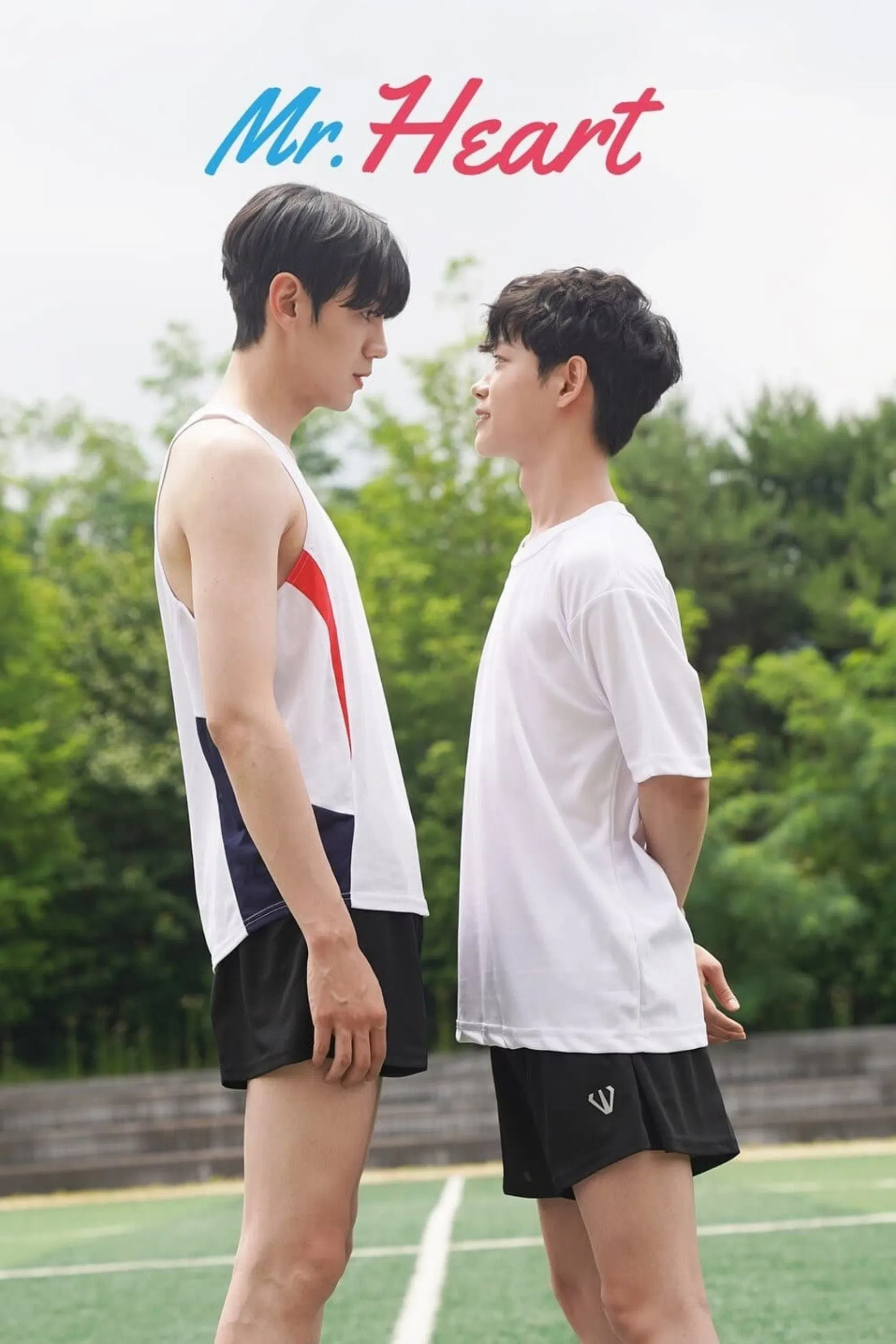 Poster of the movie Mr. Heart