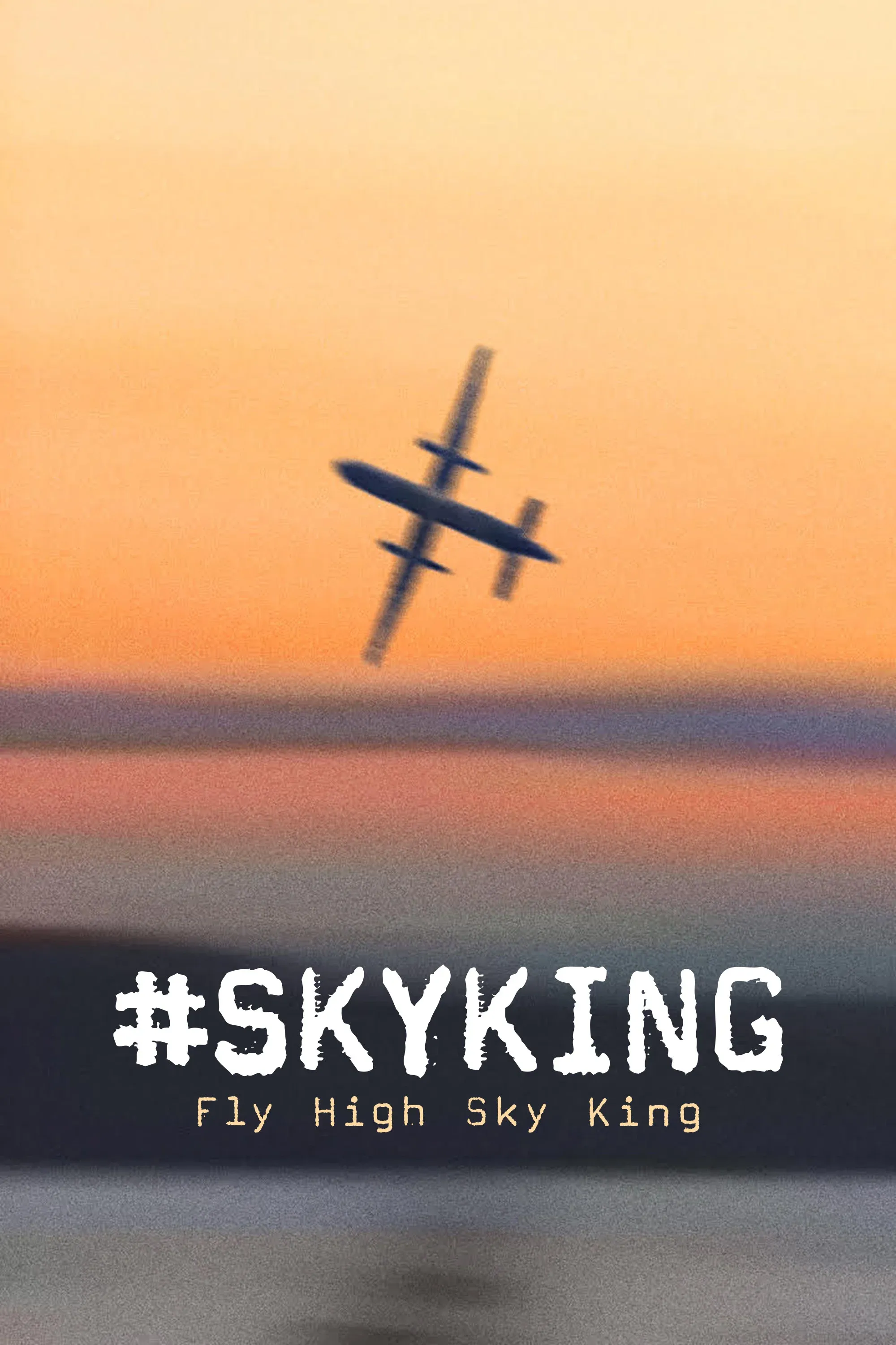Poster for #SKYKING