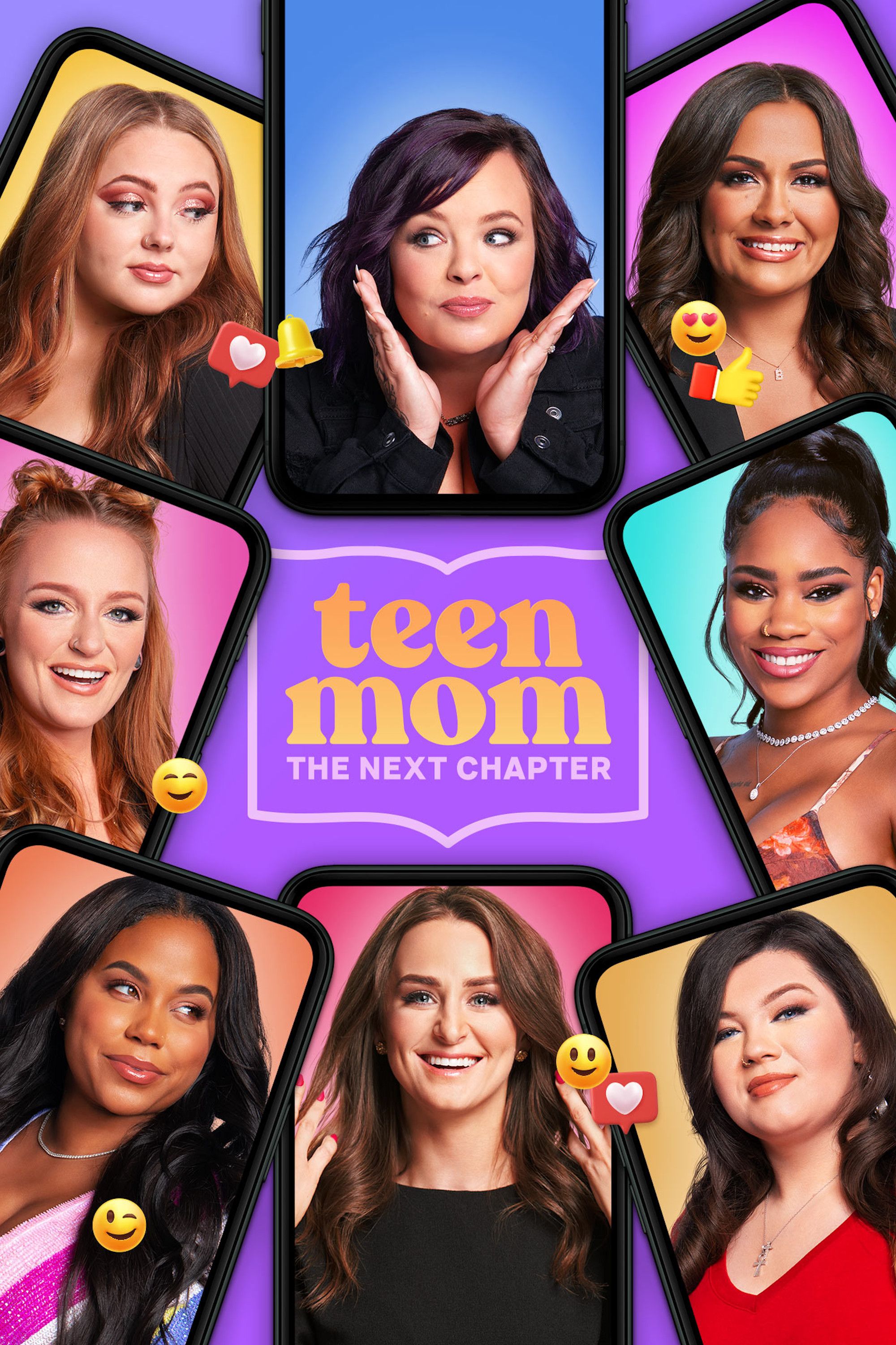 Poster of Teen Mom: The Next Chapter