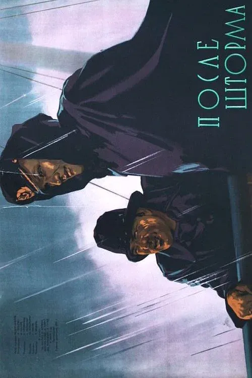 Poster for After The Storm