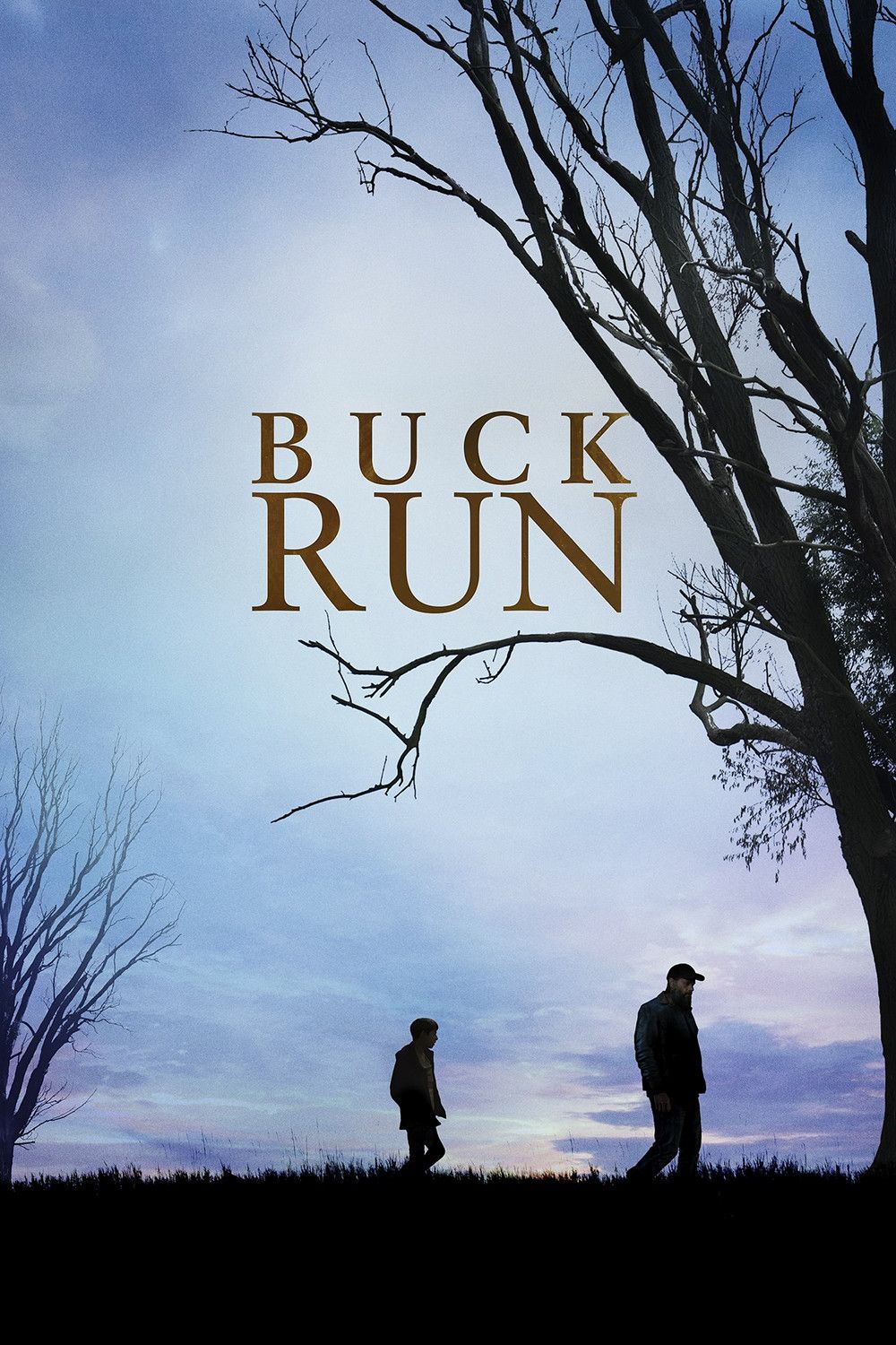 Poster of the movie Buck Run