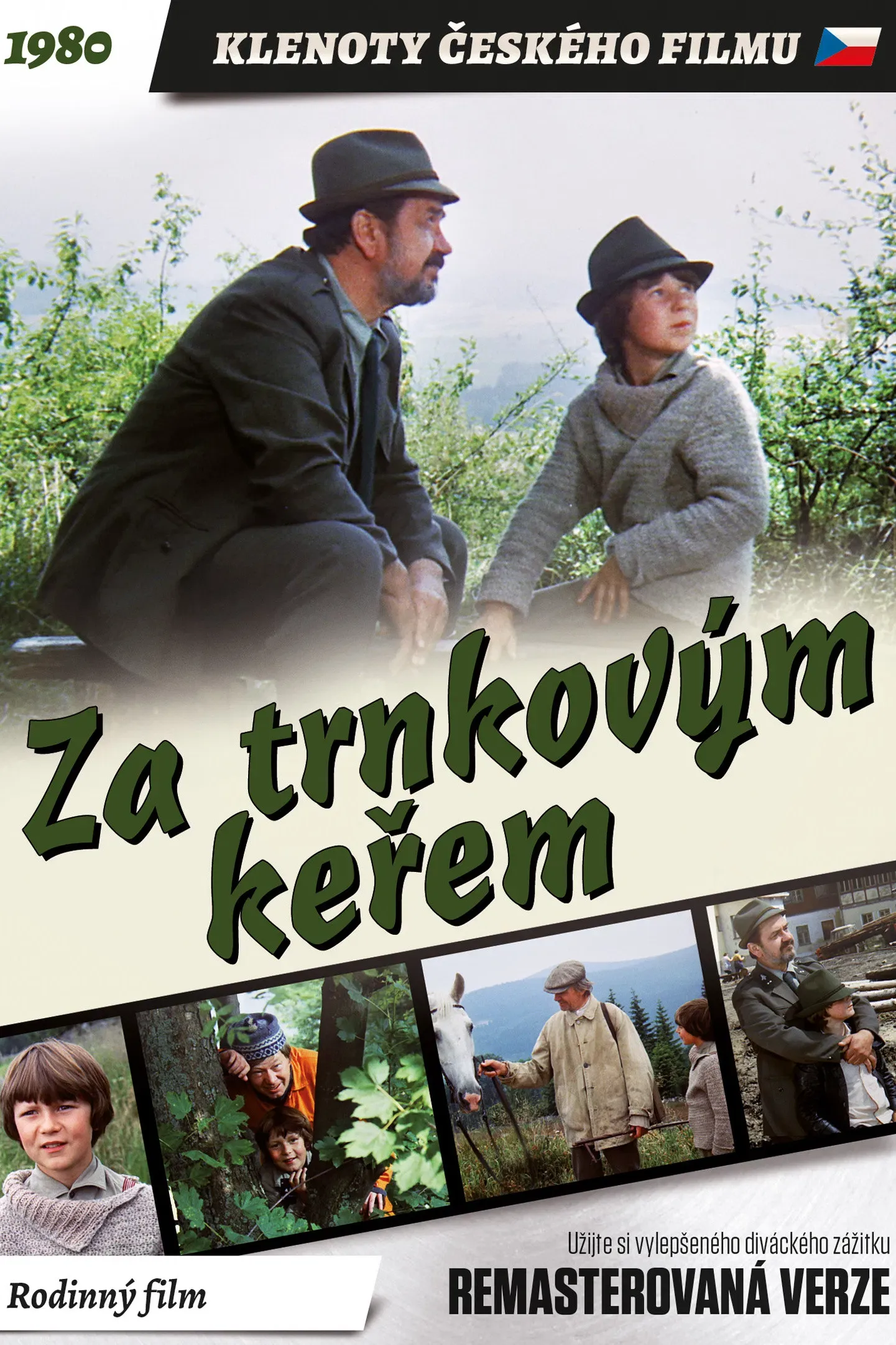 Poster of the movie Behind the Sloe-Bush