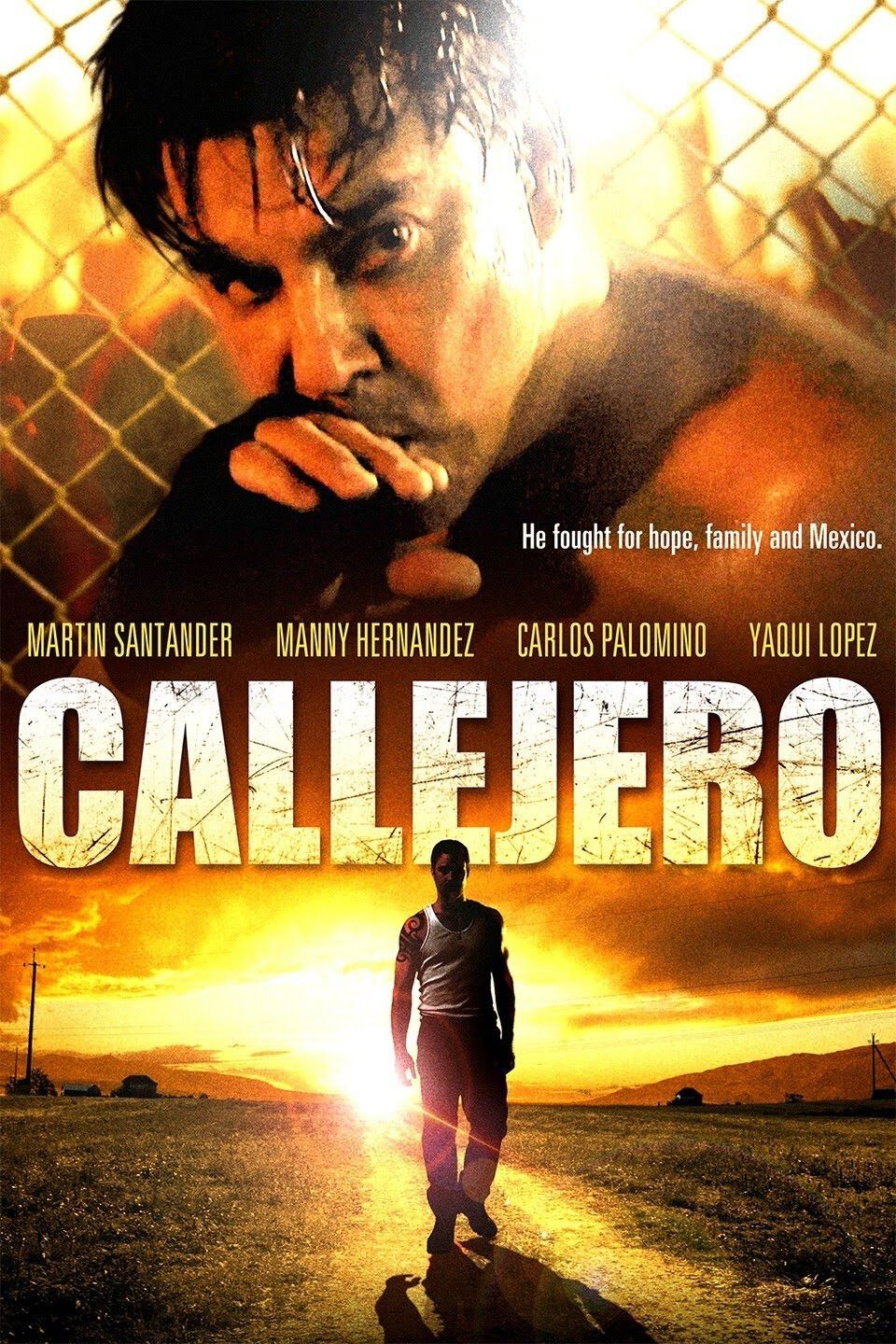 Poster of the movie Callejero