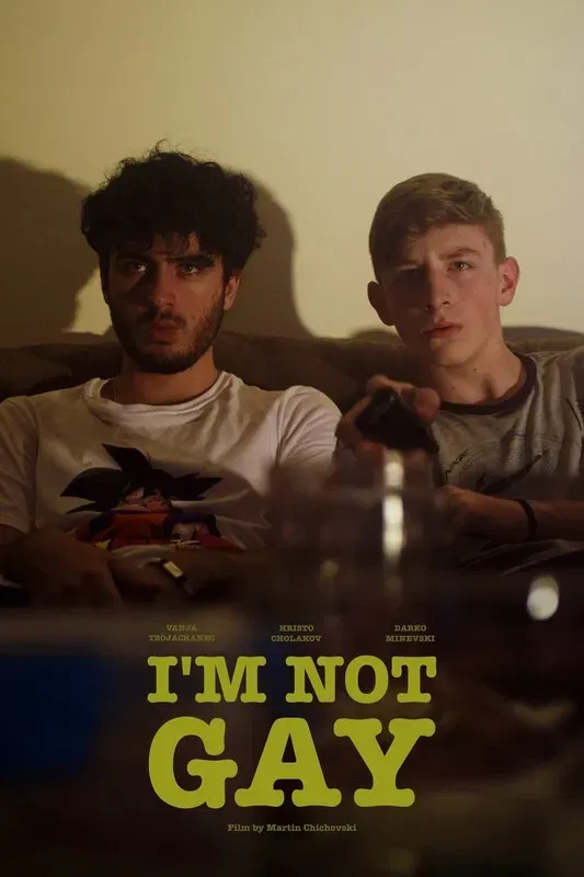 Poster of the movie I’m Not Gay