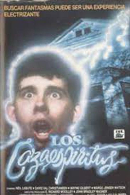 Poster of the movie High School Spirits