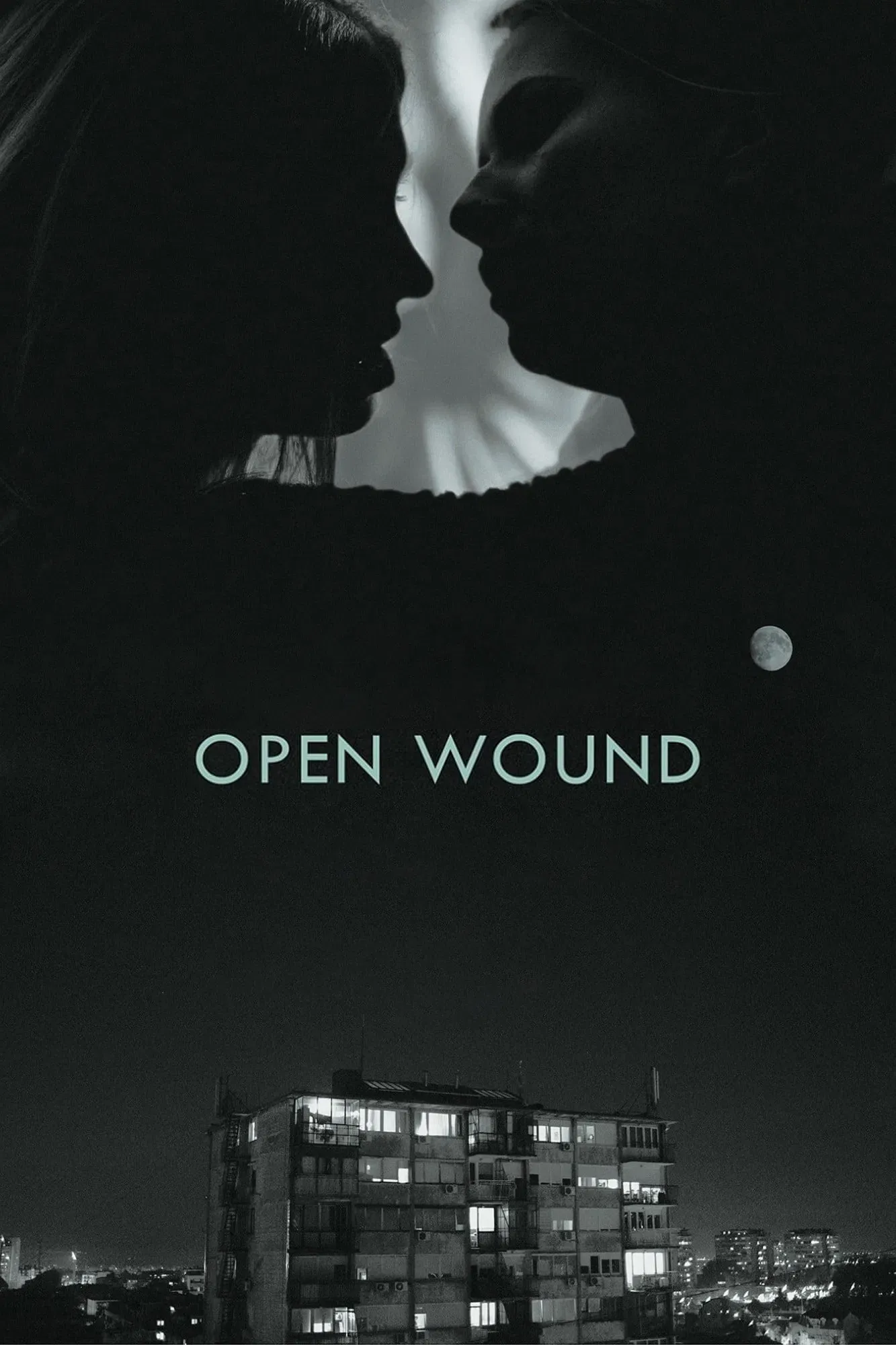 Poster of the movie Open Wound