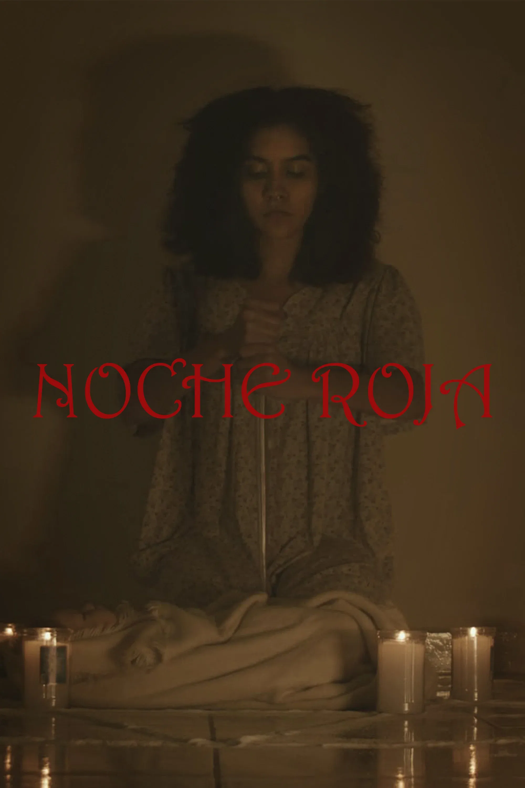 Poster for Red Night