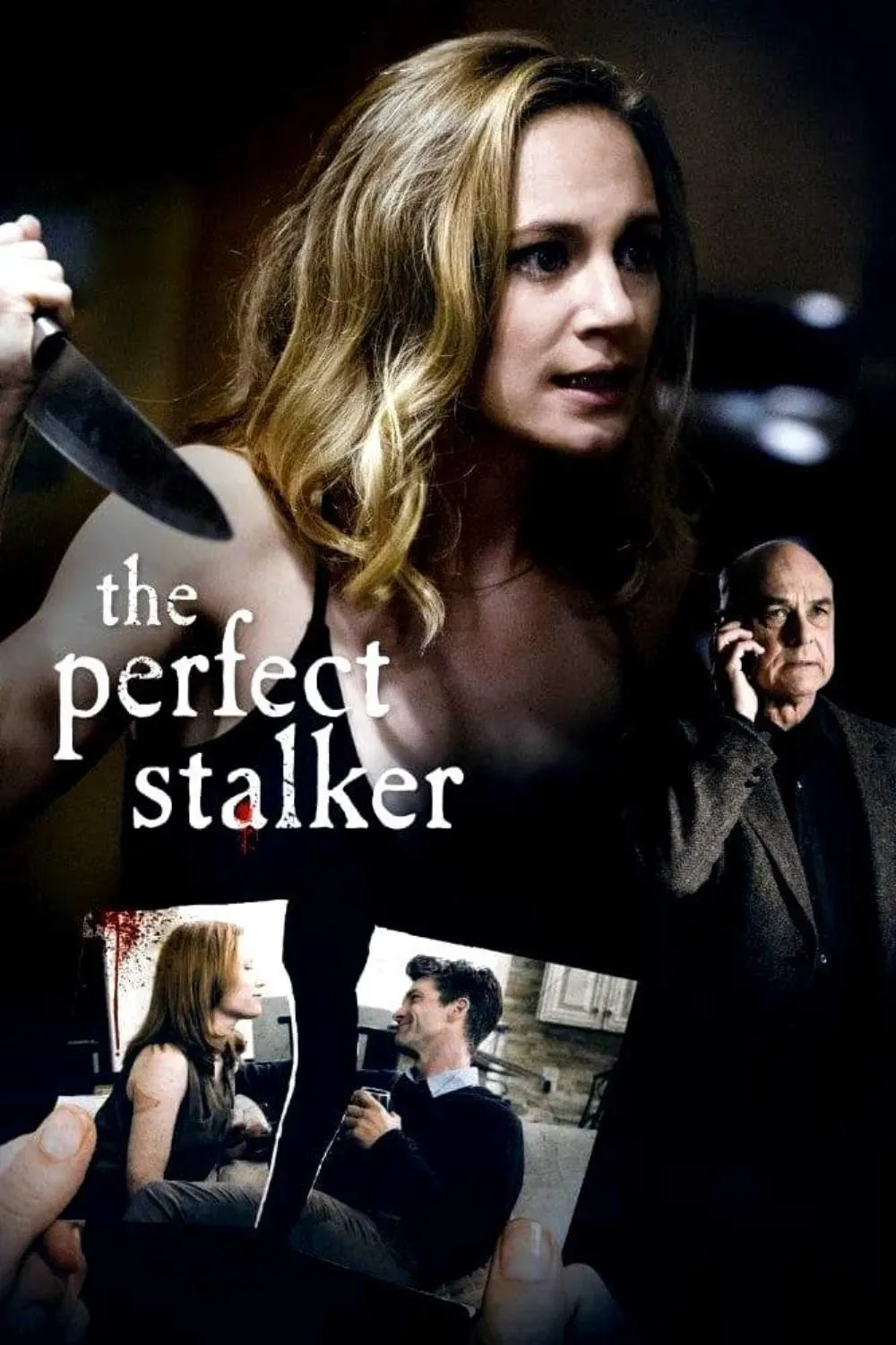 Poster of the movie The Perfect Stalker