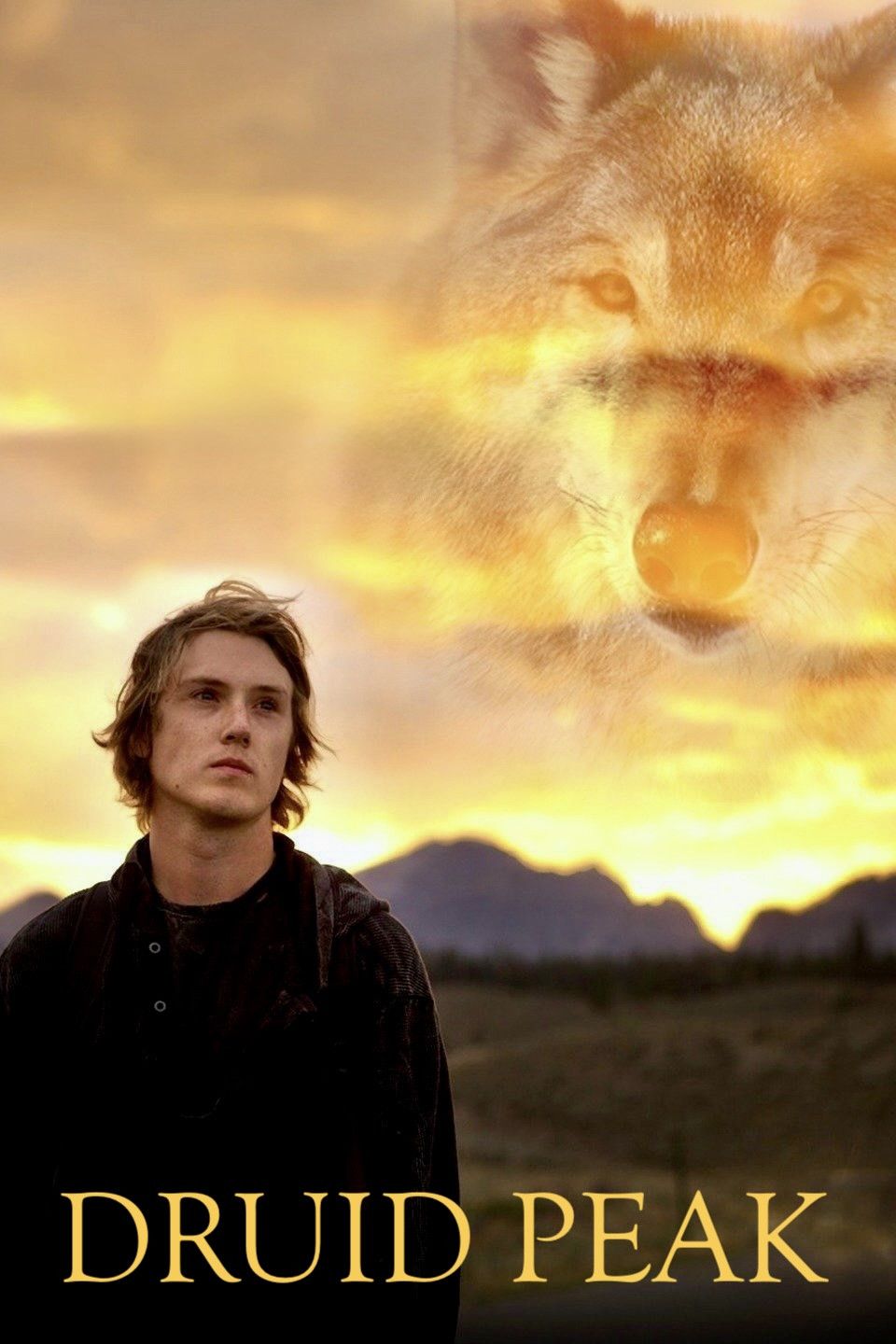 Poster of the movie Druid Peak