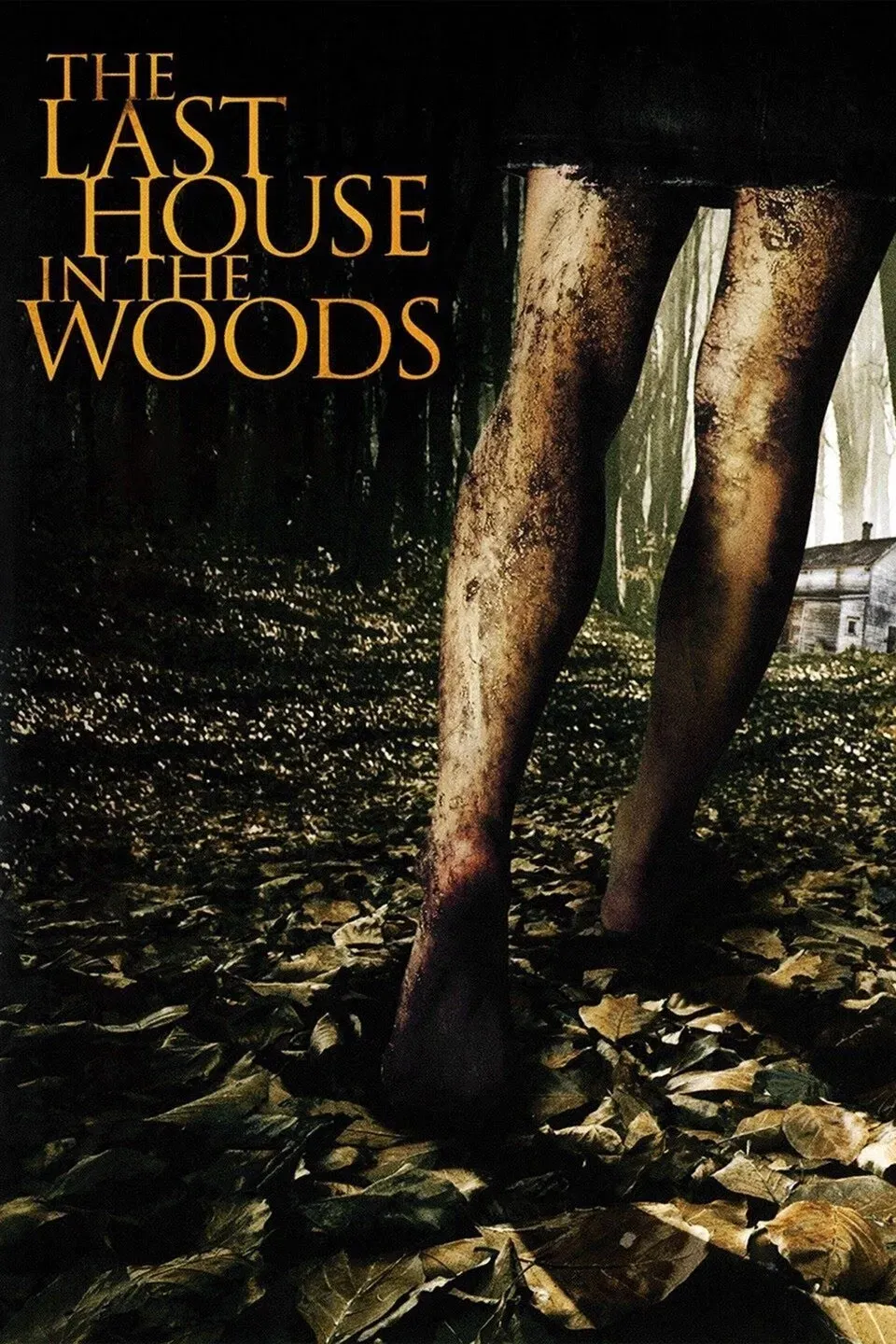 Poster of the movie The Last House in the Woods