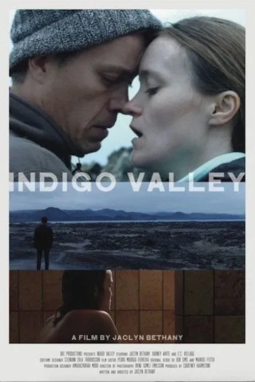 Poster of the movie Indigo Valley