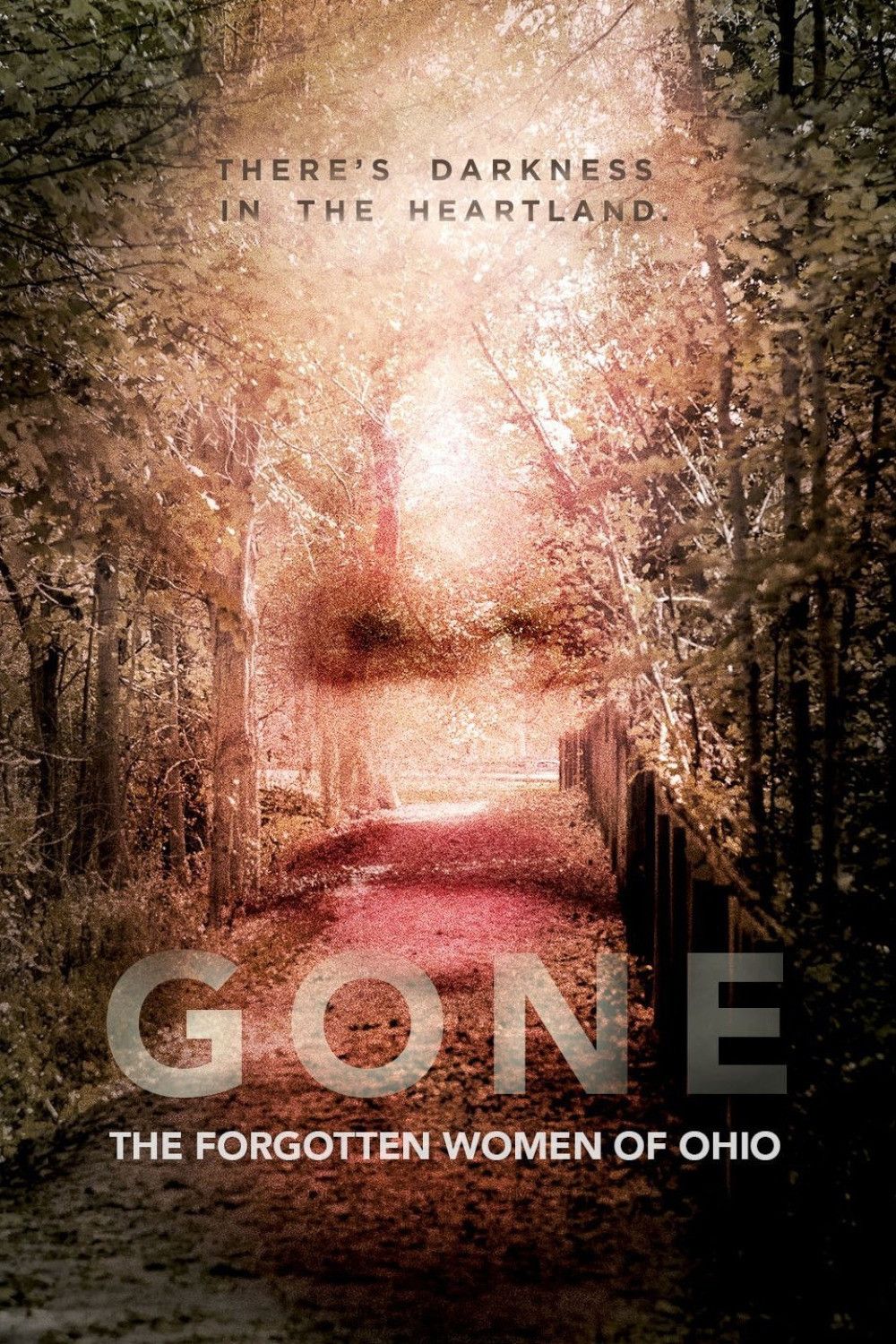 Poster of Gone: The Forgotten Women of Ohio