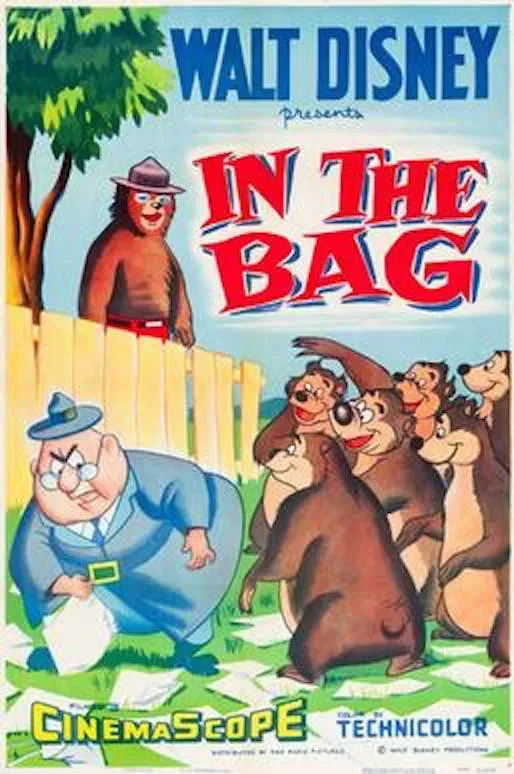 Poster of the movie In the Bag