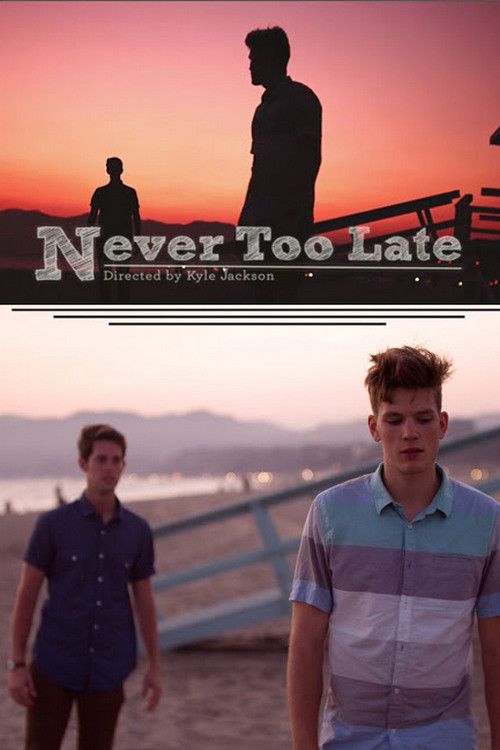 Poster of the movie Never Too Late