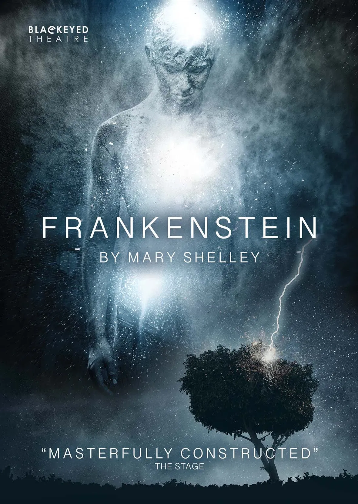 Poster of the movie Frankenstein