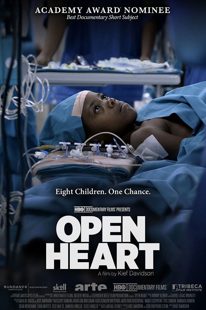 Poster of the movie Open Heart