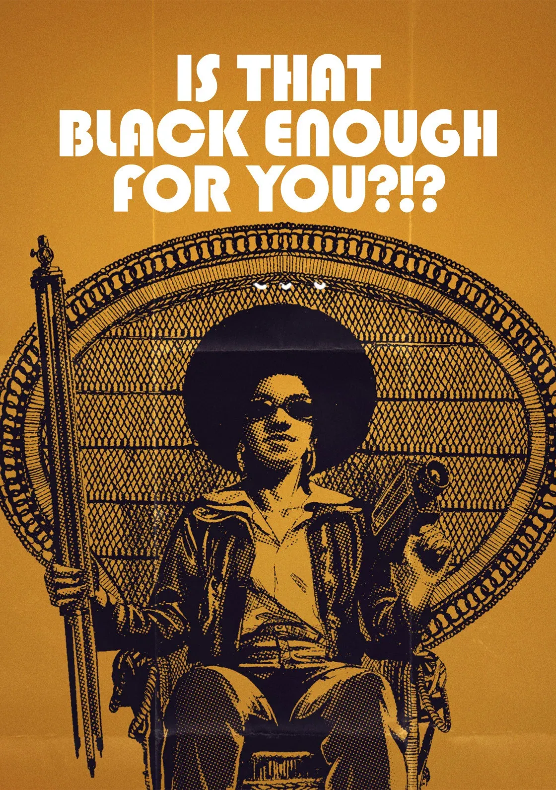 Poster for Is That Black Enough for You?!?